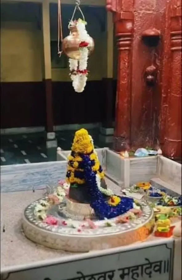 Nageshwar Mahadev & Nagkoop